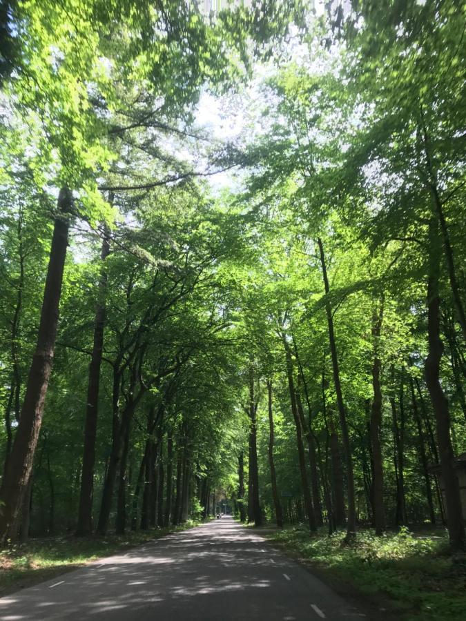 Uniek Chalet Op De Veluwe, In Bosrijke Omgeving. 皮滕 外观 照片